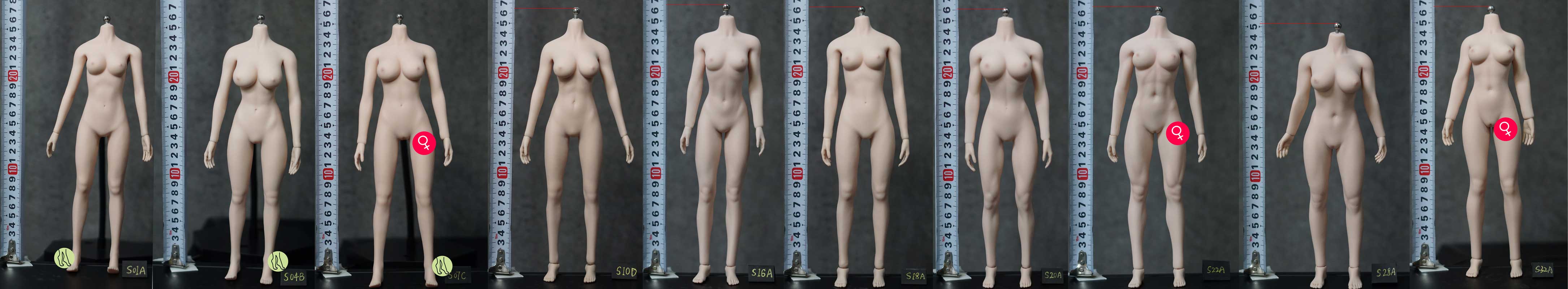 TBL Body info All-pale