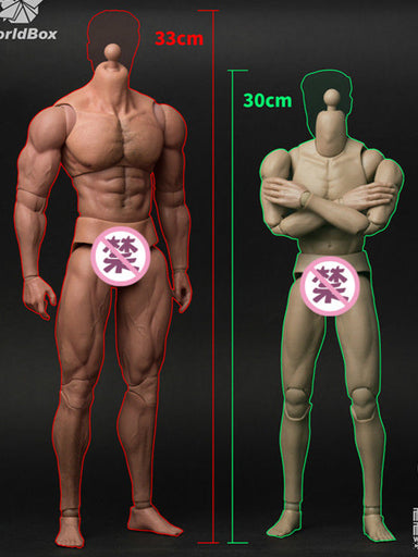 1 6 scale seamless male body