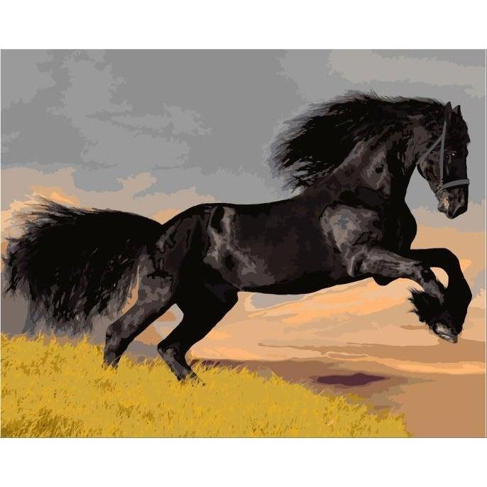 Black Horse My Paint By Numbers