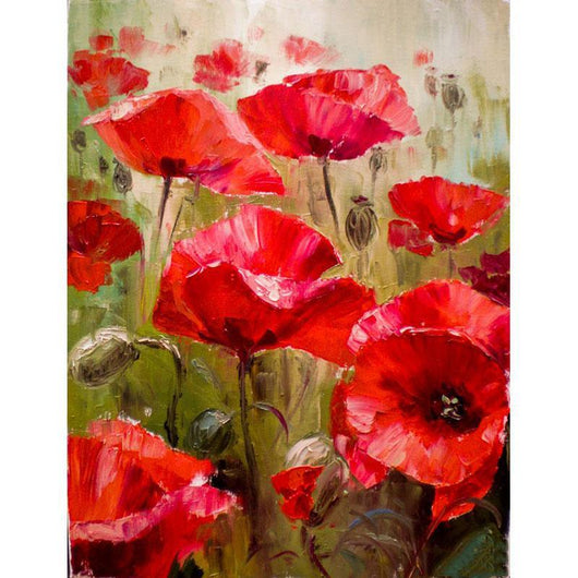 Red Poppy Flowers PAINT by NUMBERS Kit for Adult & Kids,valley Scenic View  ,easy Beginner Acrylic Painting Kit,wall Art , Hobby Gift 