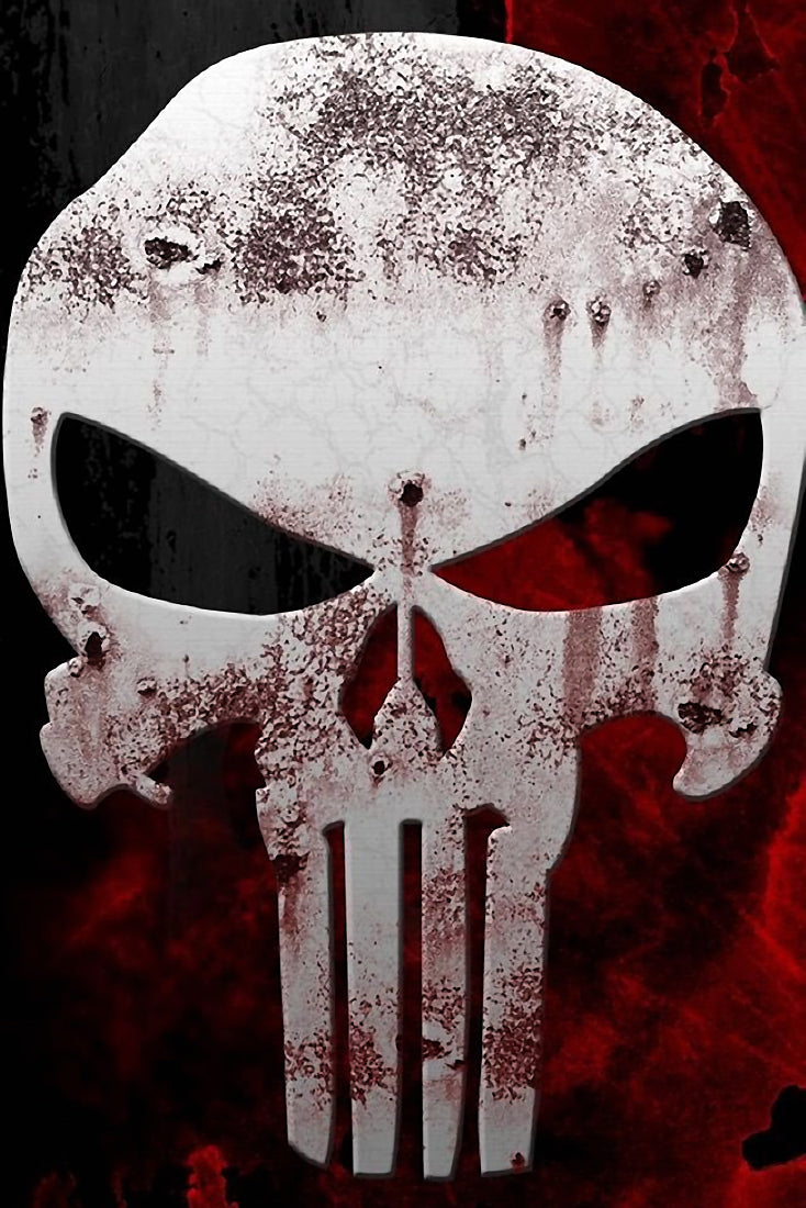 images of the punisher skull