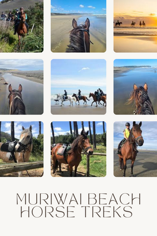 things to do in Auckland for valentines day - Muriwai Horse Treks