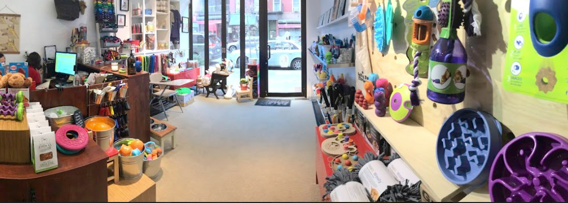 school for the dogs new york city store dog training
