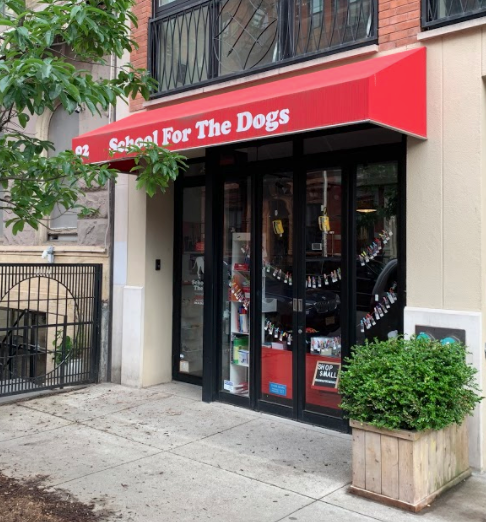 school for the dogs new york city dog store training