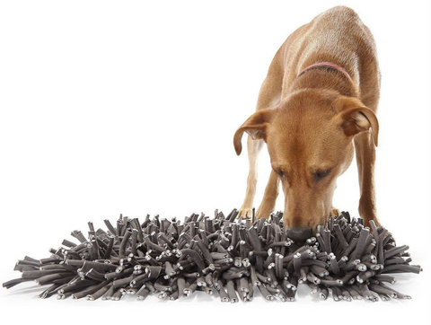 dog using a puppy snuffle mat