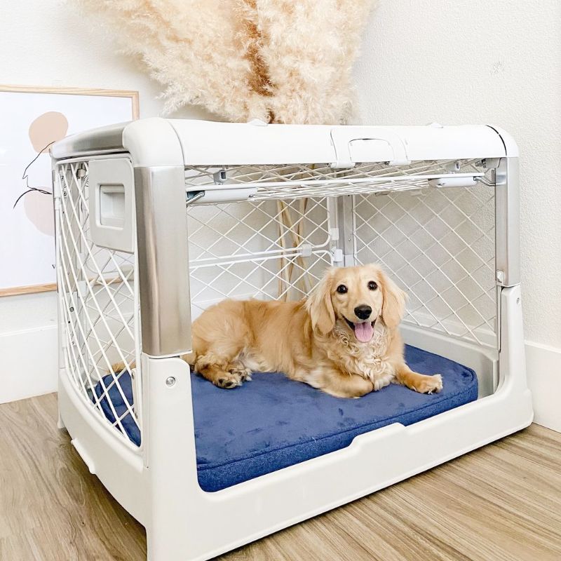 revol dog crate large