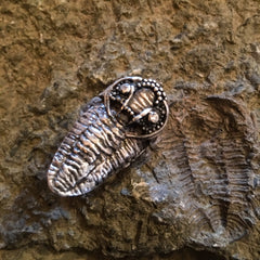 Trilobite Ring