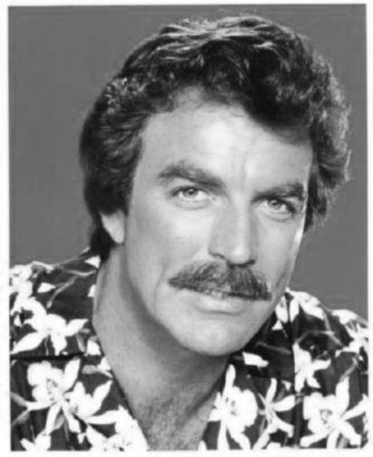 Tom Selleck poster Metal Sign Wall Art 8in x 12in 12