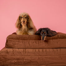 Orthopedic Memory Foam Velvet Dog Bed: Dark Chocolate Nav Image 11