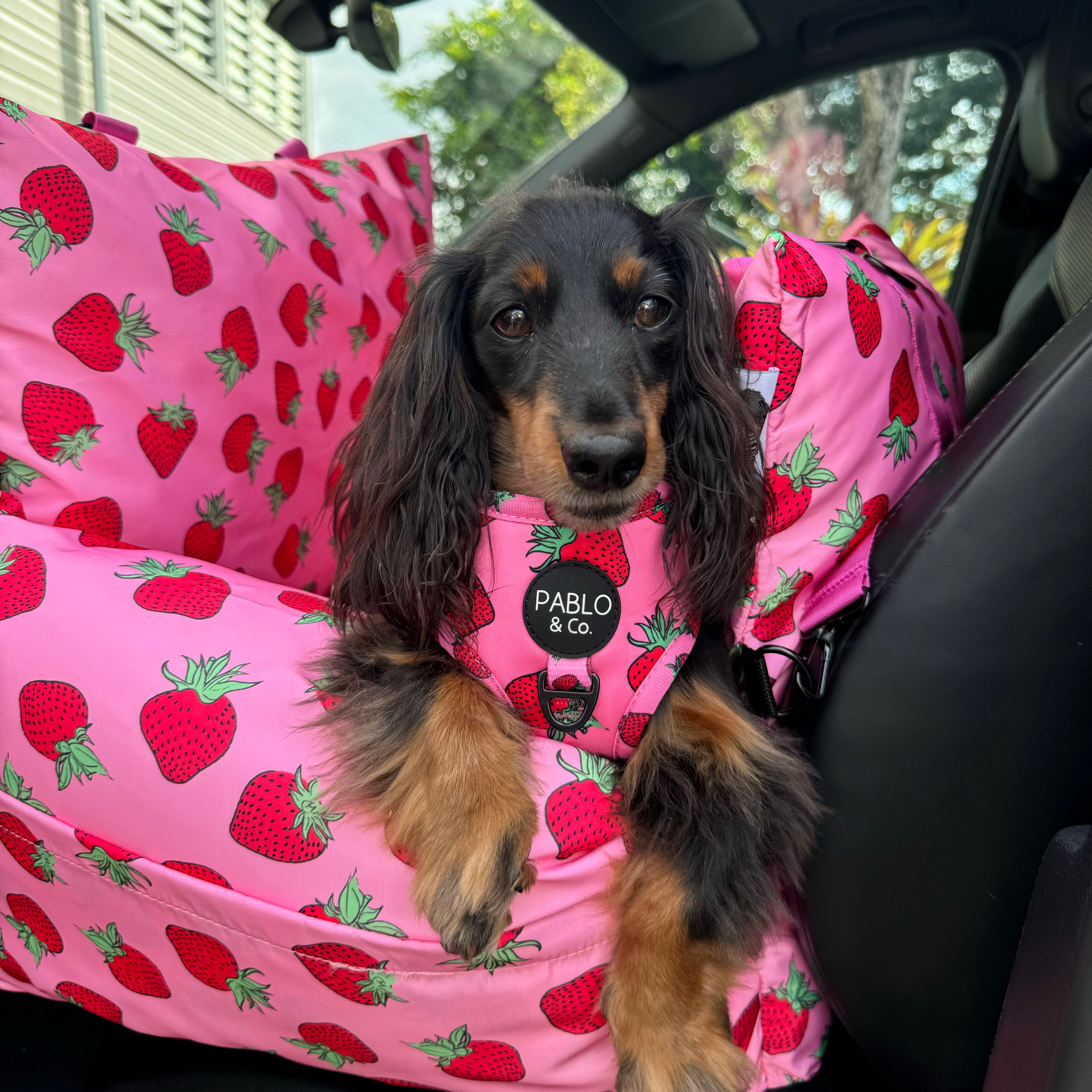 Deluxe Travel Car Bed: Strawberries - Pablo  Co Boutique product image