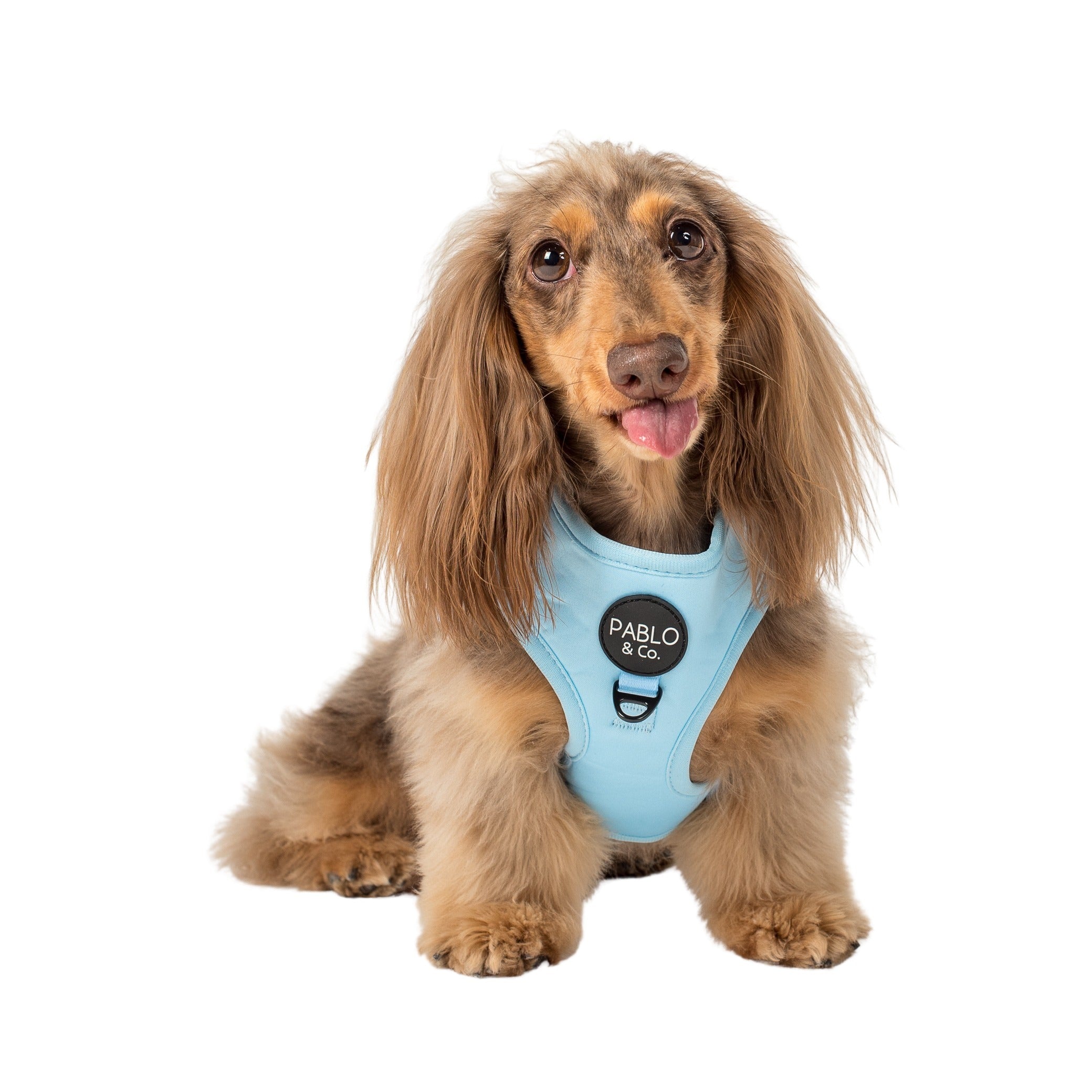 Baby Blue: Adjustable Harness - Pablo  Co Boutique product image