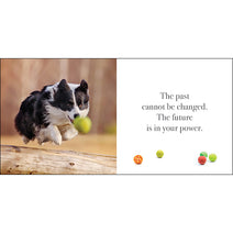 Flying Dogs Book Nav Image 3