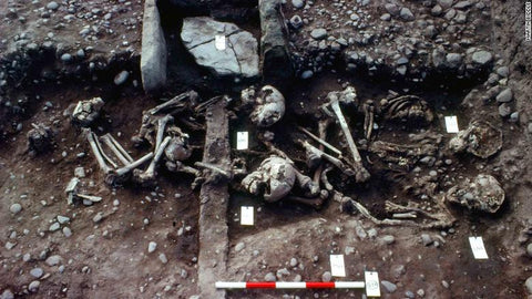Remains inside the grave of the Viking Great Army