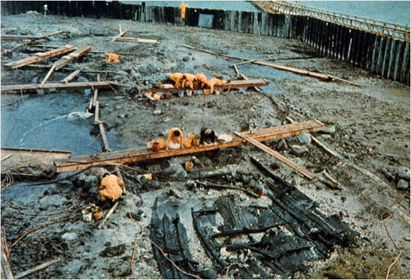 The excavation of Skuldelev Viking ship
