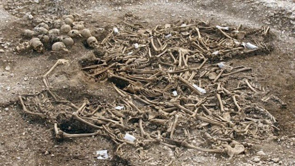 Viking mass grave in Dorset, England. The Vikings were beheaded. Their heads were piled up on one side