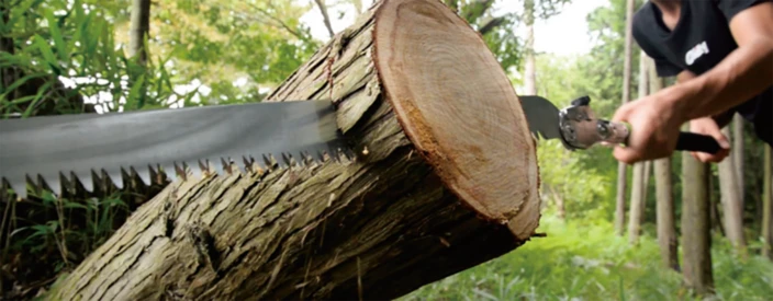 Silky saw cutting through a tree log in a forest