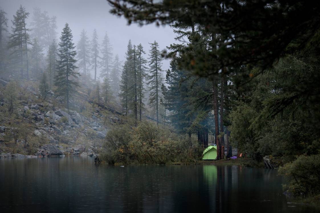 HIdden campsite in a forest in the fog