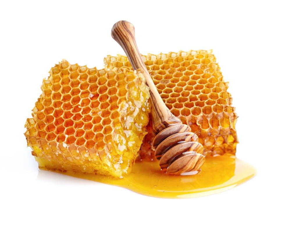 Honey combs and a honey dipper