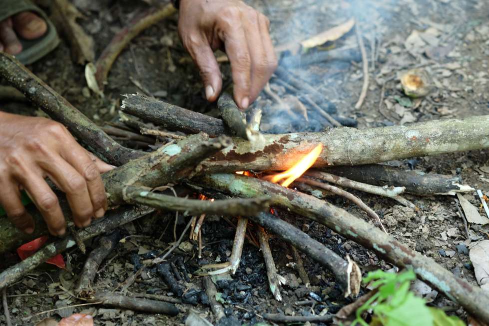 Fire kindling with bark and smaller sticks