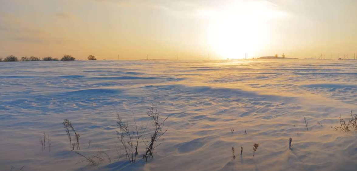 saskatchewan winter cropland