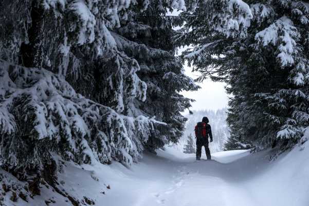 Man wearing winter gear trekking through a tree closure in the winter