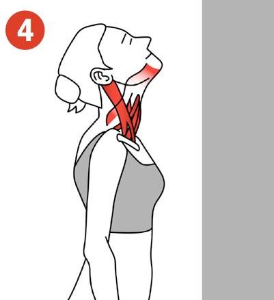 Platysma stretch