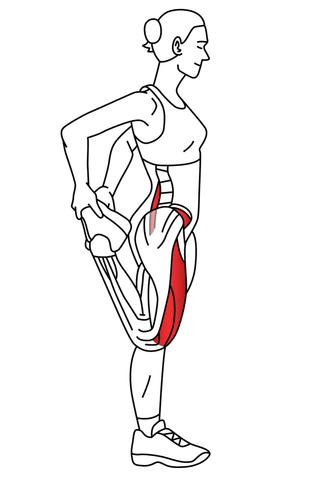 Standing rectus femoris stretch