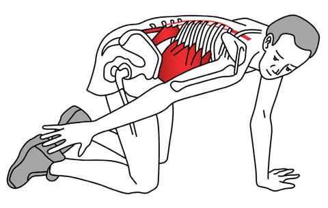 kneeling spine stretch