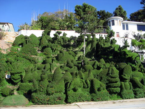 Hidden San Diego, Harper's Hopiary Garden