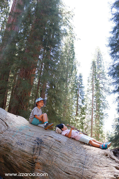 Sequoia National Park with Kids