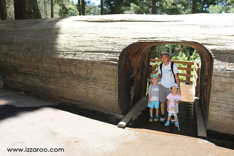 Sequoia National Park with Kids