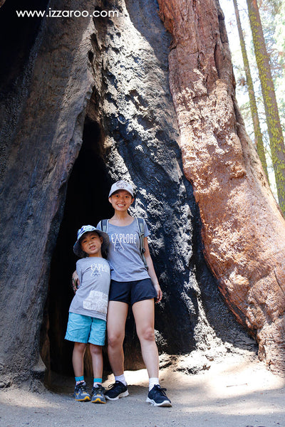 Sequoia National Park with Kids