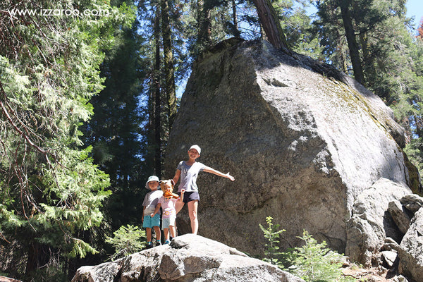 Sequoia National Park with Kids