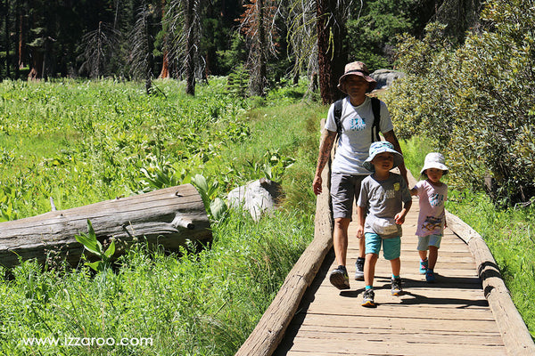 Sequoia National Park with Kids