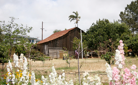 Hidden San Diego, Stein Family Farm