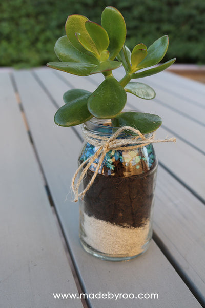 DIY Tutorial - Succulent Gifts