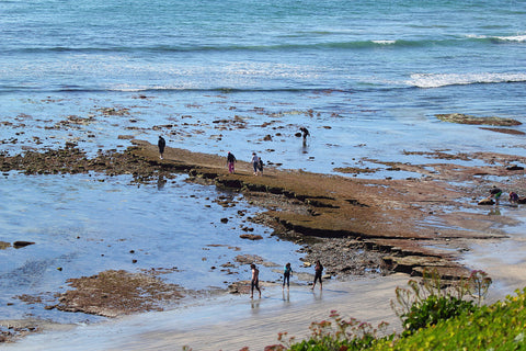 Hidden San Diego, Swami's State Beach