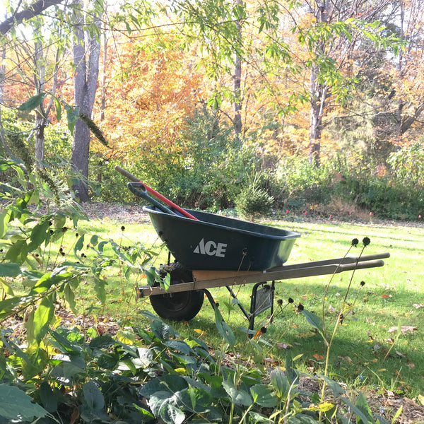 Ace hardware wheelbarrow in garden