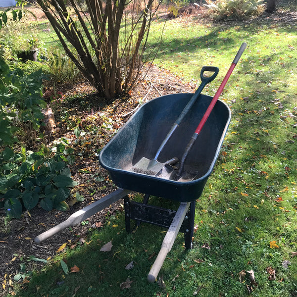 Wheelbarrow with garden tools