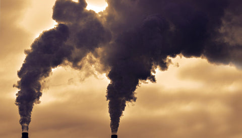 Factory Farming Emissions