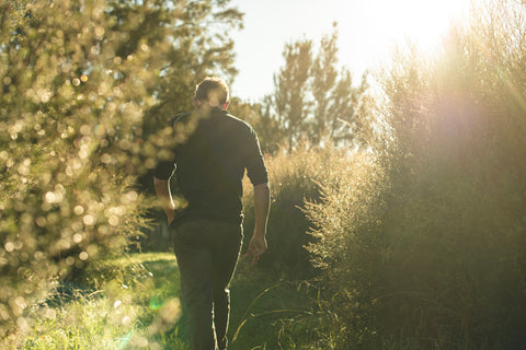 Natural Skincare: Why Going Natural is Key - Man walking at golden hour through mānuka plants.