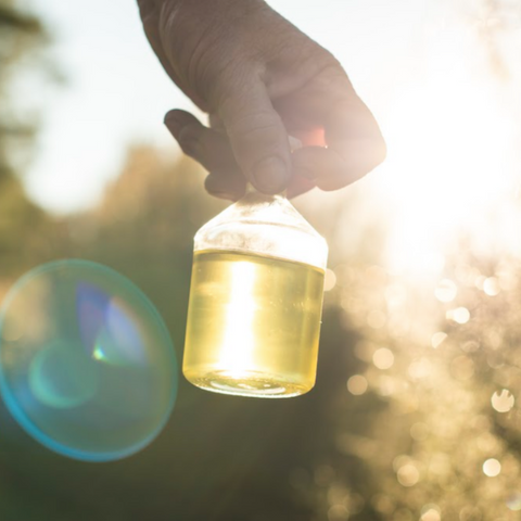 East Cape Mānuka Oil