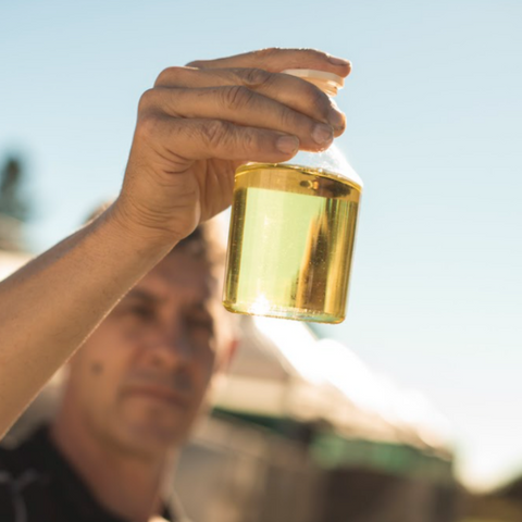 Separating the Precious Oil - Mānuka Oil Steam Distillation