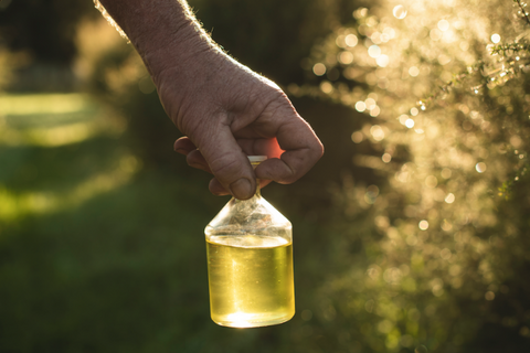 manuka essential oil