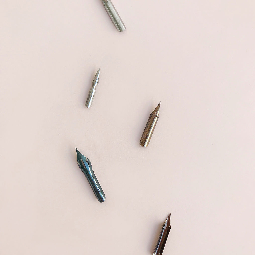 5 Nib Sampler • Pointed Pen Calligraphy