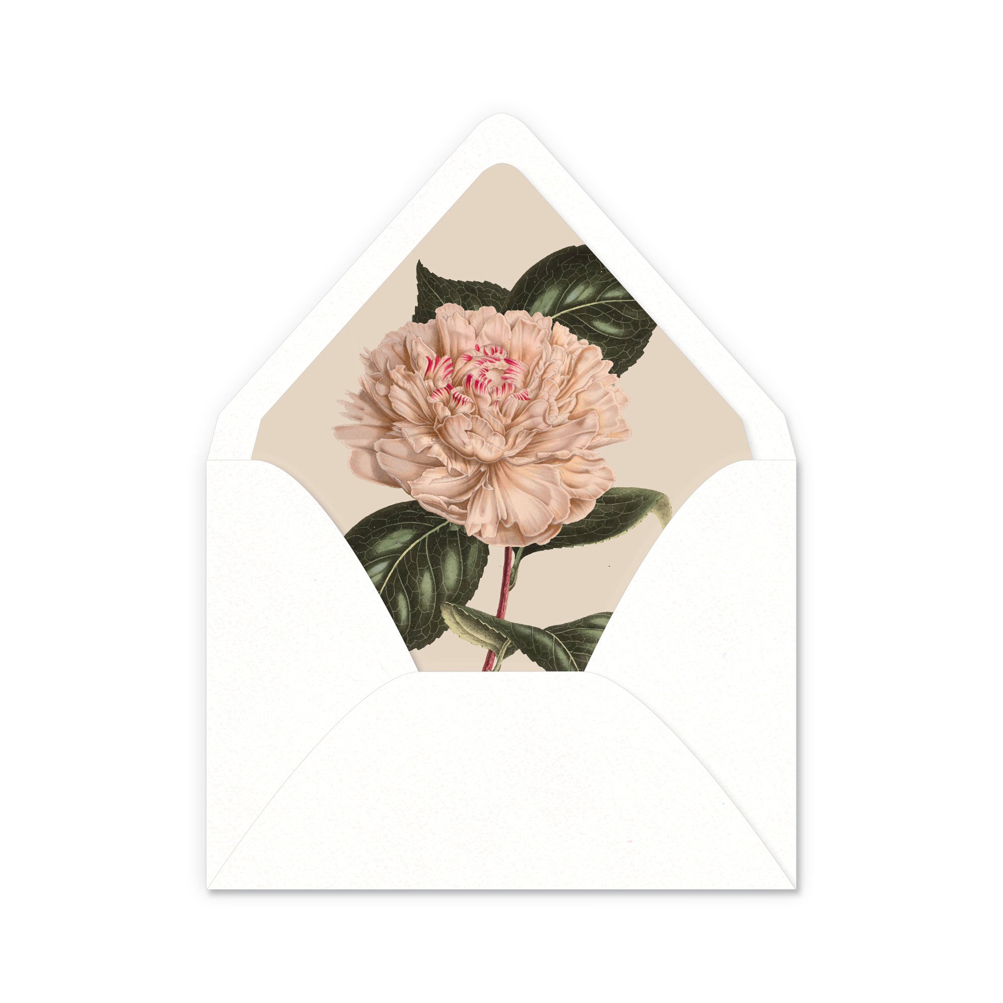 Floral Envelope Liners - Set of 10 – Piccolo Paper Co.