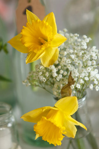 spring daffodil bouquet