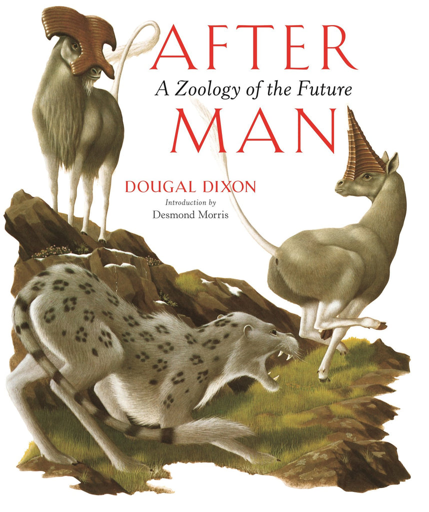 Man After Man by Dougal Dixon