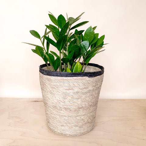 Cardiff straw storage basket with houseplant makes a great hostess gift