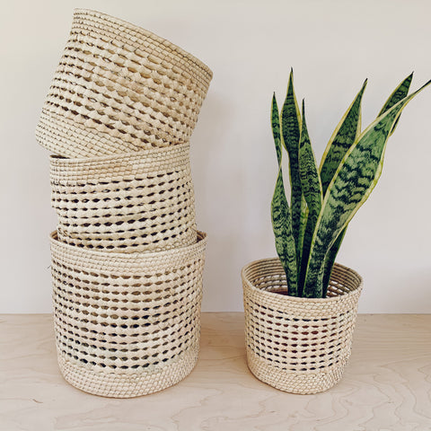Gift a plant lover our Baja straw storage basket - the perfect indoor plant holder, sustainably crafted by hand. 